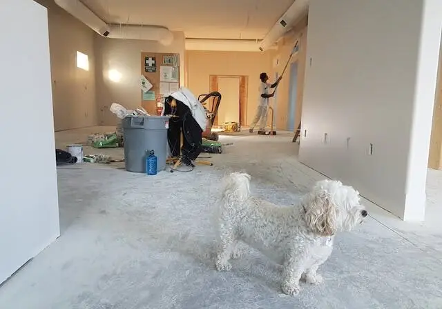 Painting-decorating-msn